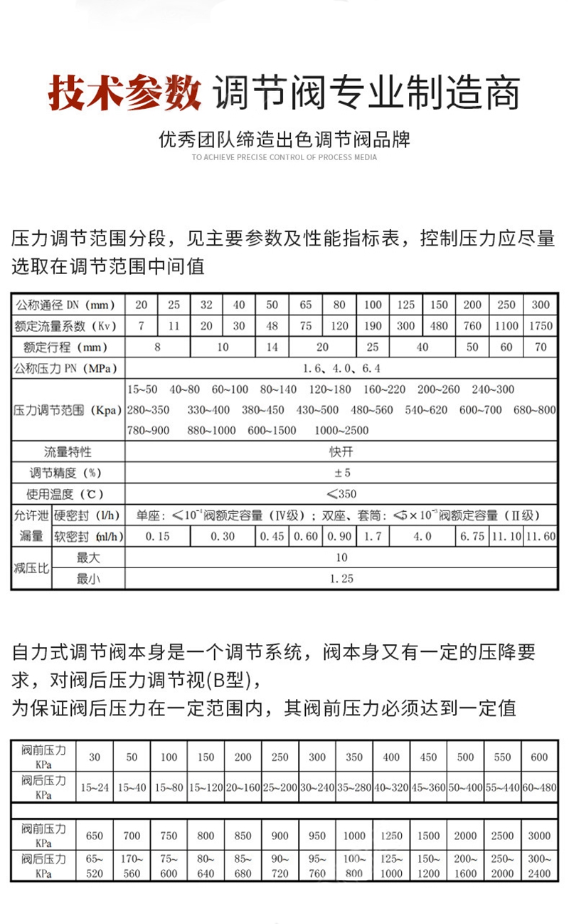 自力式調(diào)節(jié)閥,自力式減壓閥,自力式壓力調(diào)節(jié)閥